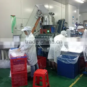 5 Gallon Cap Inner Plug Assembly Machine thumbnail-1