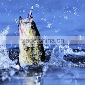 Aquaculture Equipment of Ultraviolet System thumbnail-6