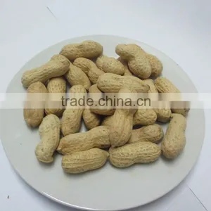 Wholesale Roasted Red Skin Peanut thumbnail-3
