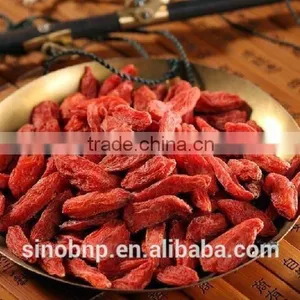 BNP Supply 100% Natural Wolfberry/Goji Berry Extract thumbnail-1