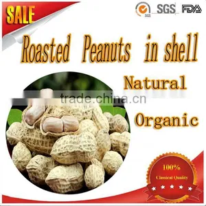 Snack Food Delicious Roasted Peanuts in Shell for Sale Organic Health Food With Good Taste thumbnail-1