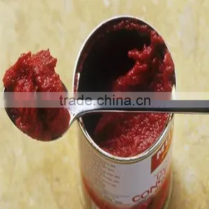 Low Price Canned and Sachet Tomato Paste With Low Price thumbnail-4