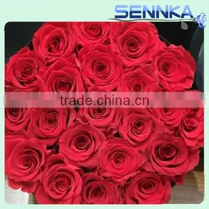 2016 the Best Wholesale Creative Gifts Preserved Fresh Flower Roses thumbnail-2