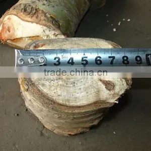 China Supplier 18-50hp Diesel Wood Chipper Shredder Machine thumbnail-5