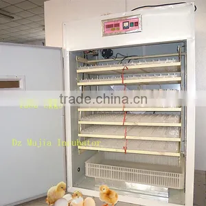 1232pcs Automatic Egg Incubator thumbnail-2