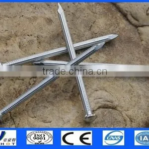 Steel Grooved Concrete Nails thumbnail-1