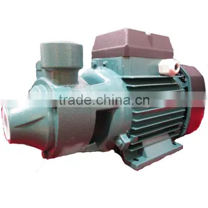 Cast Iron End Suction Peripheral Pumps TPm80 thumbnail-1
