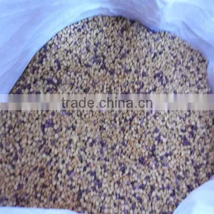 Twin Screw Wood Plastic Wpc Pelletizing Production Line thumbnail-6