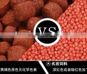 Fish Food Process Line thumbnail-5