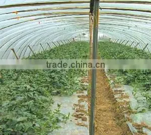 Anti-aging Agricure Film thumbnail-1