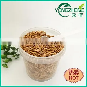 Freeze Dried Mealworms/Freeze Dried Tenebrio Molitors for Pets thumbnail-3