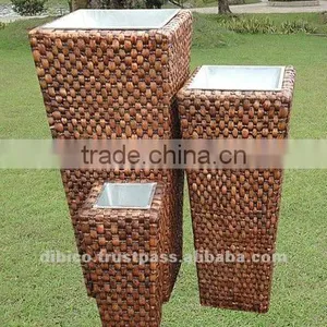 Indoor Water Hyacinth Flower Planter 2012 thumbnail-1