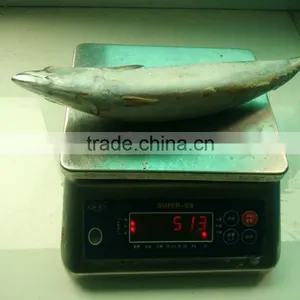 Best Price Frozen Atlantic Mackerel for Wholesale thumbnail-1