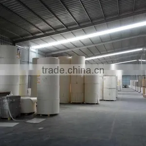 Double PE-coated Paper For Making Paper Cup In Roll thumbnail-1