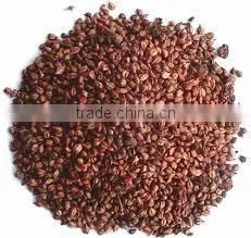 Grape Seed Extract thumbnail-2