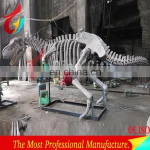 Indoor Display Fiberglass Life Size Dinosaur Skeleton thumbnail-1