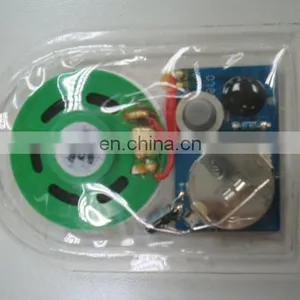 Custom Sound Chip for Toy /clothes and Shoes With Light thumbnail-1