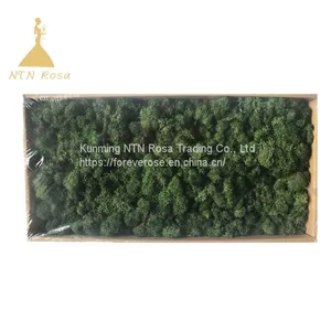 Hot Selling Green Moss Grass Wall for Decoration thumbnail-2