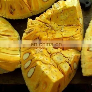 Fresh High Quality Jackfruit From Vietnam thumbnail-2