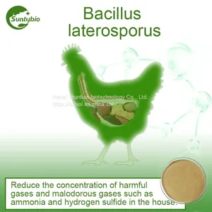 Bacillus Laterosporus thumbnail-2