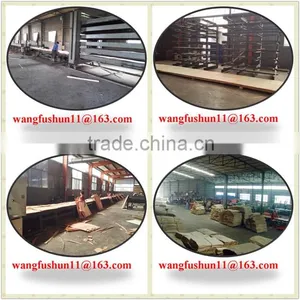 Poplar Lvl Made in China/poplar Lvb Made in China/poplar for Malaysia Packing thumbnail-5