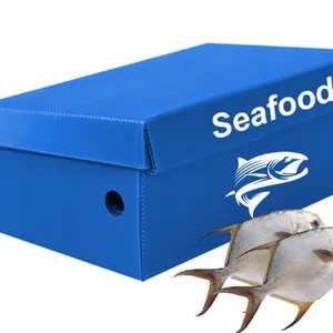 Eco-Friendly PP Corrugated Seafood Packaging – Durable Boxes for Fish Transport thumbnail-1