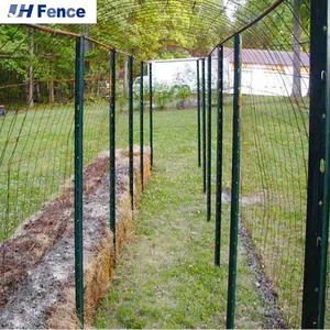 Hot Dipped Galvanized t Post Vineyard Trellis Post thumbnail-6