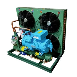 Choose Refcomp Compressors for Cold Storage Air-cooled Units. Customized by Cold Storage Refrigeration Equipment and Freezing Unit Factory thumbnail-5