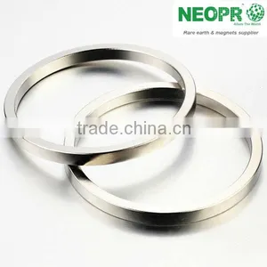 Customized Permanent Neodymium NdFeB Magnet thumbnail-3