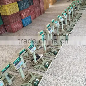 Hot Sale TCS Series of Electronic Platform Scale 50kg 5g thumbnail-6
