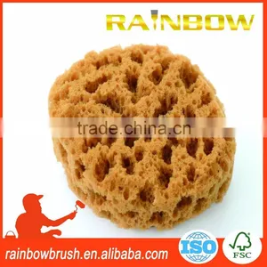 Decorative Natural Sea Sponge thumbnail-1