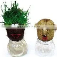 Grass Head,Grass Toy,Growing Grass Head thumbnail-1