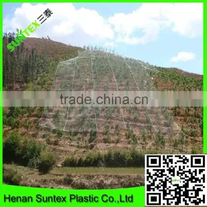 HOT SALE! Vineyard Used Extruded PE Anti Bird Nets for Catching Birds thumbnail-4