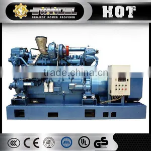 Diesel Generator Set Diesel Generator Maintenance Manual thumbnail-1