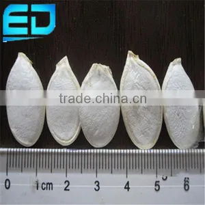 Shopping Online Websites for Pumpkin Seeds Snow White, Lady Nail Snow White thumbnail-1
