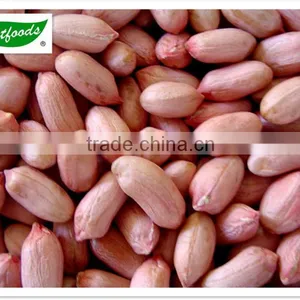 2014 Crop Shandong Peanut Kernels With Good Quality thumbnail-1