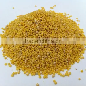 Millets thumbnail-1