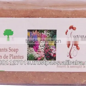 Plants Soap thumbnail-1