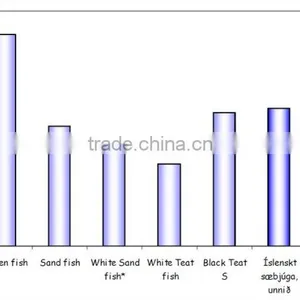 Sea Cucumber Whole Frozen thumbnail-3