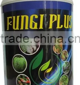 Fungi Plus thumbnail-1