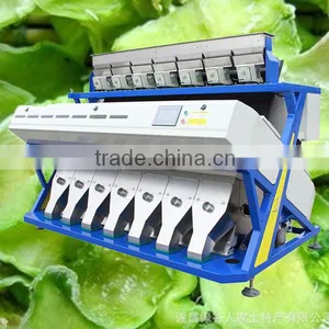 High Output 448 Channels CE Certificated Dry Dried Vegetables CCD Color Separating Machine thumbnail-1