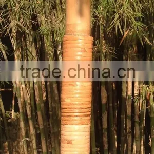 CHEAPEST PRICE !!!! THATCH SEAGRASS UMBRELLA FROM VIETNAM_GIA GIA NGUYEN FACTORY thumbnail-4