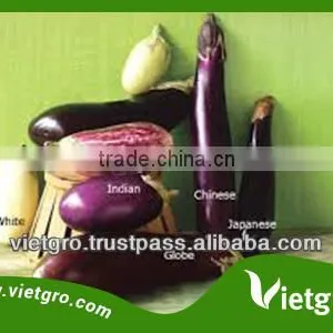High Quality Fresh Organic Eggplant VGE0011 thumbnail-1