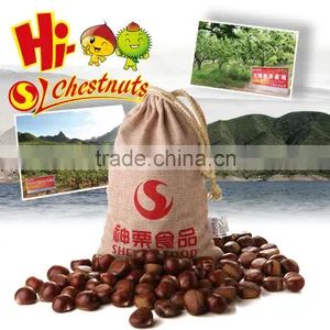 Best Quality and Price Raw Chestnuts From China thumbnail-1