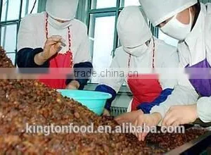 Taste Sweet and Seedless Dried Red Raisin thumbnail-2