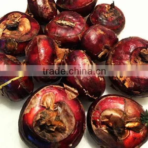 Fresh Vegetable in Tin Water Chestnut thumbnail-1