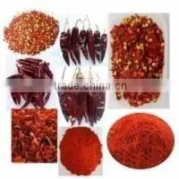 Indian Red Chily thumbnail-1
