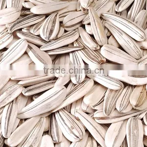 Sunflower Seeds thumbnail-1