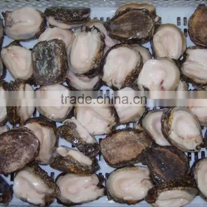 Chilean Abalone thumbnail-1
