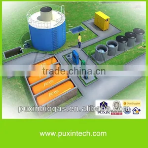 Longer Use Life Biogas Digester for Sustainable Clean Biogas Power Generation thumbnail-1